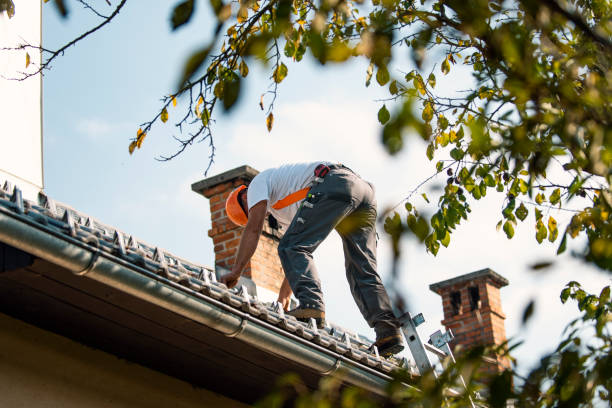 Best Storm Damage Roof Repair  in Topeka, IN