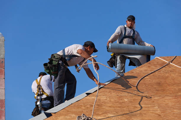 Best Residential Roofing Contractor  in Topeka, IN